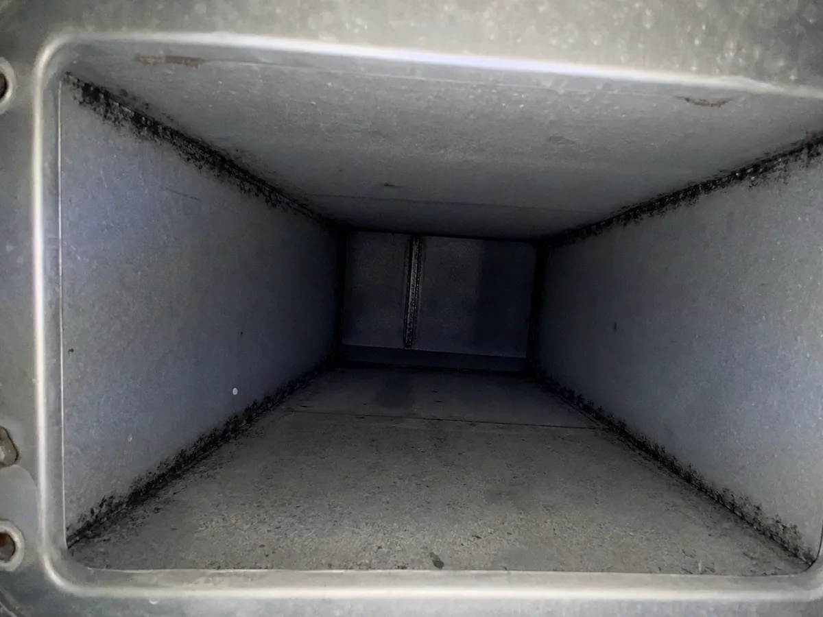 Air Duct Mold Removal in Santa Barbara, CA
